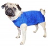 PetMed Послеоперационная попона после кастрации для мопса RRPC CASTRACAO FIT DRY PUG