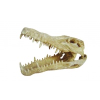 LUCKY REPTILE Декорация для террариумов, череп "Skull Krokodil"
