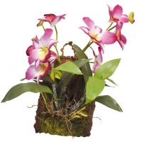 LUCKY REPTILE Декоративное растение "Hanging Orchid", розовое